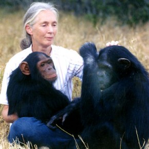 Jane Goodall kimdir?