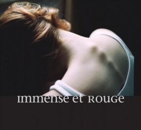 Akın Çetin ve 'Immense et Rouge' kitabı