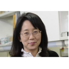 Masayo Takahashi: Rejeneratif (Yenileyici) Tıp Uygulamalarına bir Bakış